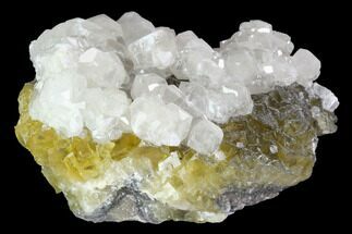 Yellow, Cubic Fluorite Crystal Cluster with Calcite - Spain #98706