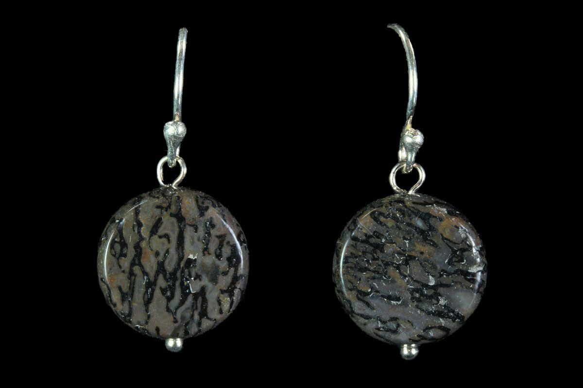 Polished Fossil Dinosaur Bone (Gembone) Earrings (#93374) For Sale ...