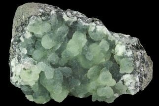 Botryoidal Prehnite Crystal Cluster - Connecticut #100173