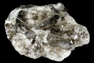 Wide, Smoky Quartz Crystal Cluster - Brazil #104025