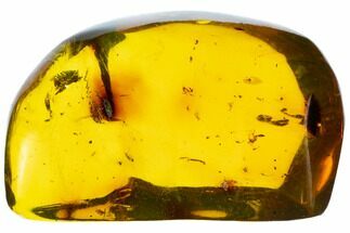 Polished Chiapas Amber With Inclusions ( g) - Mexico #104228