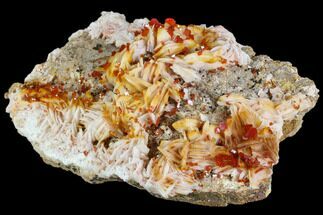 Ruby Red Vanadinite Crystals With Barite - Morocco #104731