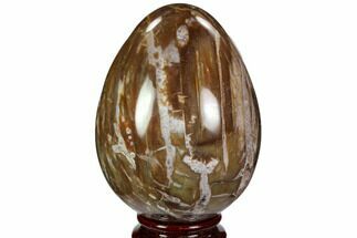 Polished Petrified Wood Egg - Triassic #107394