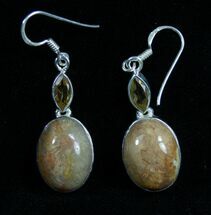 Fossil Coral Earrings #7682