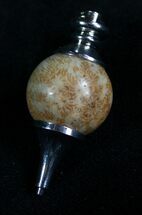 Fossil Coral Top Pendant - Million Years Old #7683