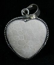 Fossil Coral Heart Pendant - Million Years Old #7685