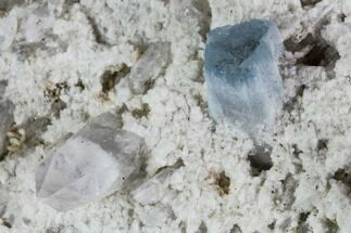 2.5" Aquamarine and Quartz in Albite Crystal Matrix - Pakistan - Crystal #111349