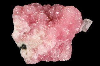 Druzy Rhodochrosite Crystal Cluster - South Africa #111556