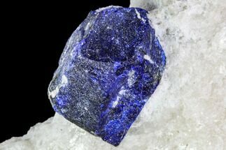 Large, Lazurite Crystal in Marble Matrix - Afghanistan #111791