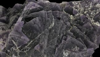 Large, Purple, Cubic Fluorite Crystal Cluster - Pakistan #112099