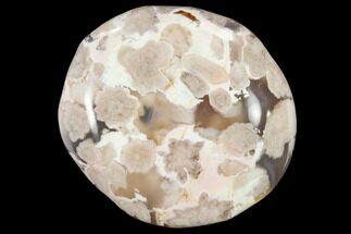 1.5 to 2" Polished Flower Agate Pebble - 1 Piece - Crystal #114508