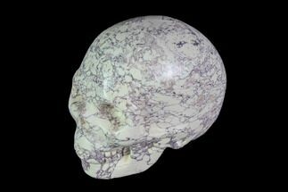 Realistic, Polished Howlite Skull #116577