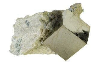Pyrite Cube In Rock - Navajun, Spain #118236