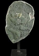 Prasiolite (Green Quartz) Geode Metal Stand - Uruguay #81865