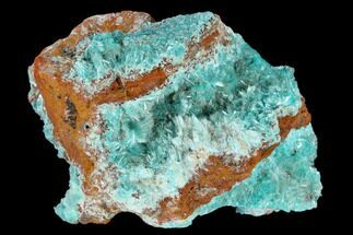Fibrous Aurichalcite Crystal Cluster - Mexico #119164