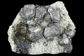 Chalcopyrite, Galena, Sphalerite and Quartz Association - Peru #120126