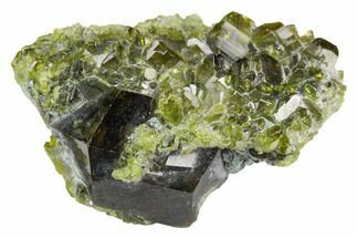 Andradite Garnet & Diopside Crystal Association - Afghanistan #121361