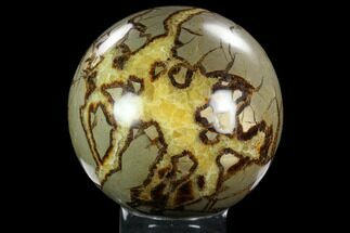 Large, Polished Septarian Sphere ( lbs) - Madagascar #122377