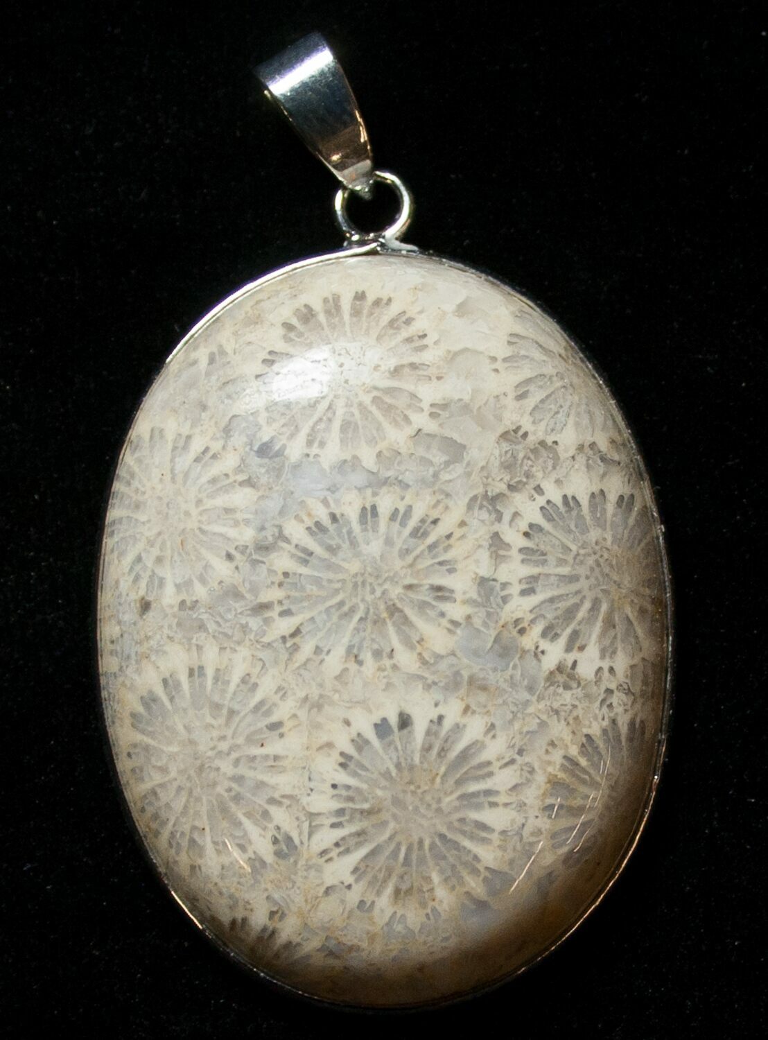 Large Fossil Coral Sunburst Pendant (8520) For Sale