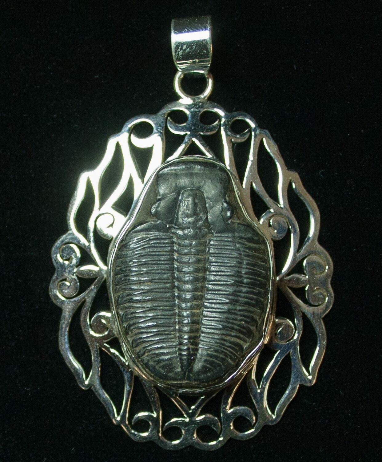 Sterling Silver Elrathia Trilobite Pendant For Sale (#8592) - FossilEra.com