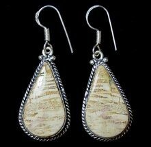 Fossil Coral Earrings - Million Years Old #8605
