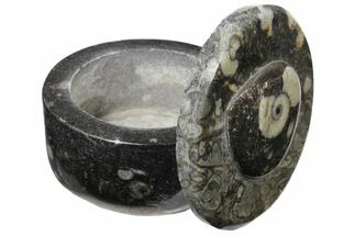 Fossil Goniatite Box (Round) - Stoneware #123558