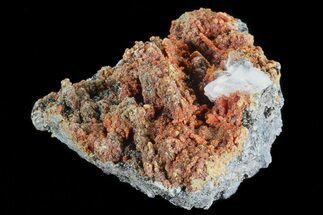 2.9" Botryoidal Red-Orange Orpiment - Peru - Crystal #70640