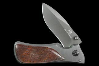 Folding Tactical Knife With Fossil Dinosaur Bone (Gembone) Inlays #127559