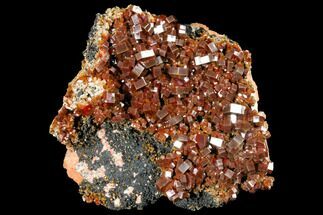 Gorgeous, Ruby-Red Vanadinite Crystal Cluster - Large Crystals #127655