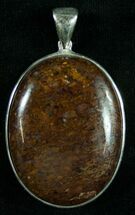 Agatized Dinosaur Bone & Sterling Silver Pendant #9113