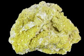 Sulfur Crystal Cluster on Matrix - Nevada #129753