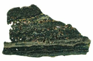9.5" Orbicular Ocean Jasper Slab - Madagascar - Crystal #129852