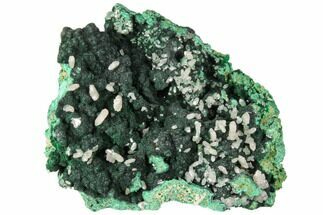 3.2" Fluorescent Cerussite Crystals on Malachite - Congo - Crystal #130491