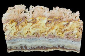 Colorful, Wild Fire Opal Slab (Not Polished) - Utah #130589