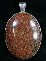 Agatized Dinosaur Bone Pendant #9355