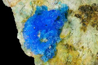 Vibrant Blue Chalcanthite Crystals - Mina Ojuela, Mexico #136843