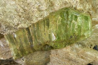 Yellow-Green Fluorapatite Crystal in Calcite - Ontario, Canada #137099