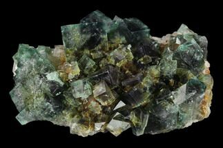 Fluorite Crystal Cluster on Quartz - Rogerley Mine #134785
