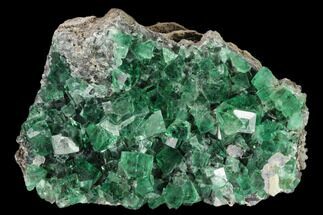 Fluorite Crystal Cluster with Galena- Rogerley Mine #134788