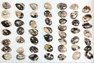 Lot: Polished Madagascar Black Opal Pendants - Pieces #138968