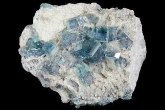Blue, Cubic Fluorite Crystals on Quartz & Dolomite - China #139784