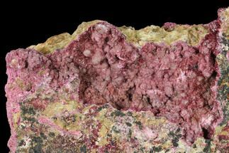 Sparkling Magenta Erythrite Crystal Cluster - Morocco #141651