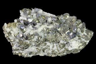 Chalcopyrite, Pyrite, Galena and Quartz Association - Peru #141830