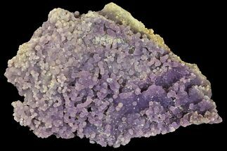 6.5" Sparkly, Botryoidal Grape Agate - Indonesia - Crystal #141694