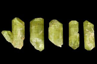 Lot Of Five Yellow Apatite Crystals - Morocco #143080