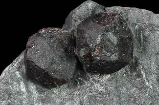 Two, Large Red Embers Garnet in Graphite - Massachusetts #135482
