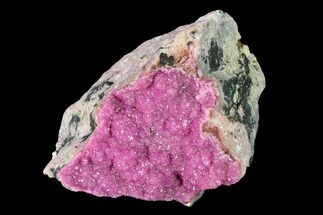 Sparkling Cobaltoan Calcite Crystal Cluster - Congo #146708