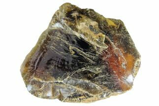 Large, Rough Indonesian Blue Amber (1 1/2 to 2" Size) - Fossil #150399
