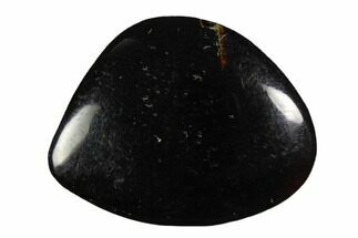 Tumbled Indonesian Blue Amber (1 1/4" Size) - Fluorescent - Fossil #150402