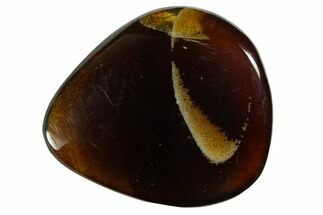 Tumbled Indonesian Blue Amber (1" Size) - Fluorescent - Fossil #150403